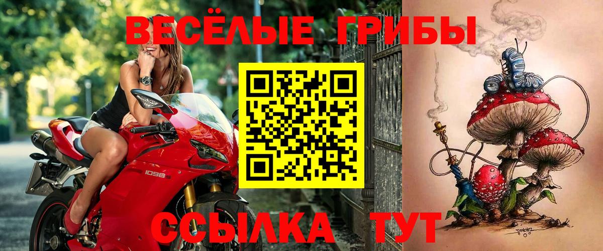 Галлюциногенные грибы прущие грибы Донецк