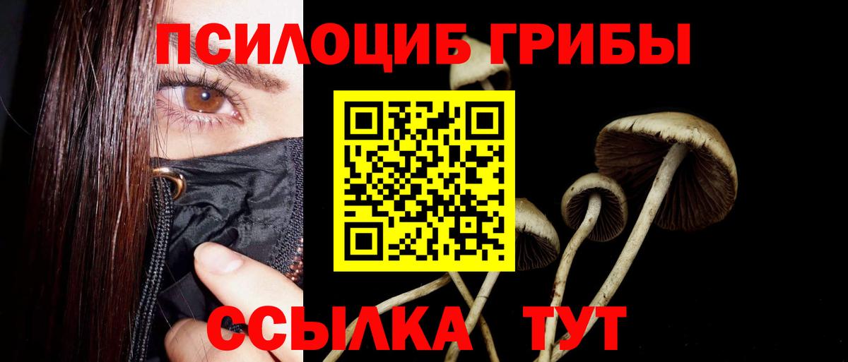 Псилоцибиновые грибы Magic Shrooms  Вход с VPN  Донецк  Галлюциногенные грибы MAGIC MUSHROOMS 